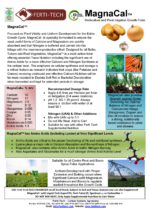 MagnaCal