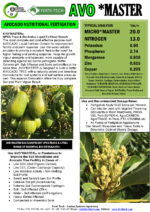 AvoMaster