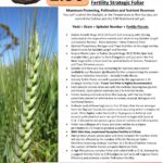 Z30 – Stragetic Foliar