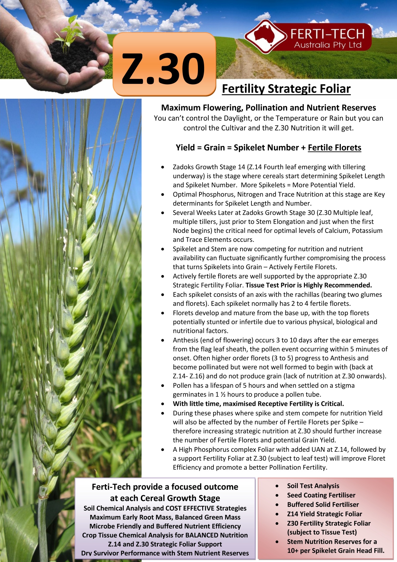 You are currently viewing Z30 – Stragetic Foliar