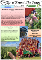 You are currently viewing RTT – September 2025