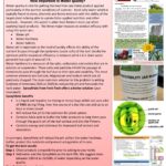 RTT – October 2025