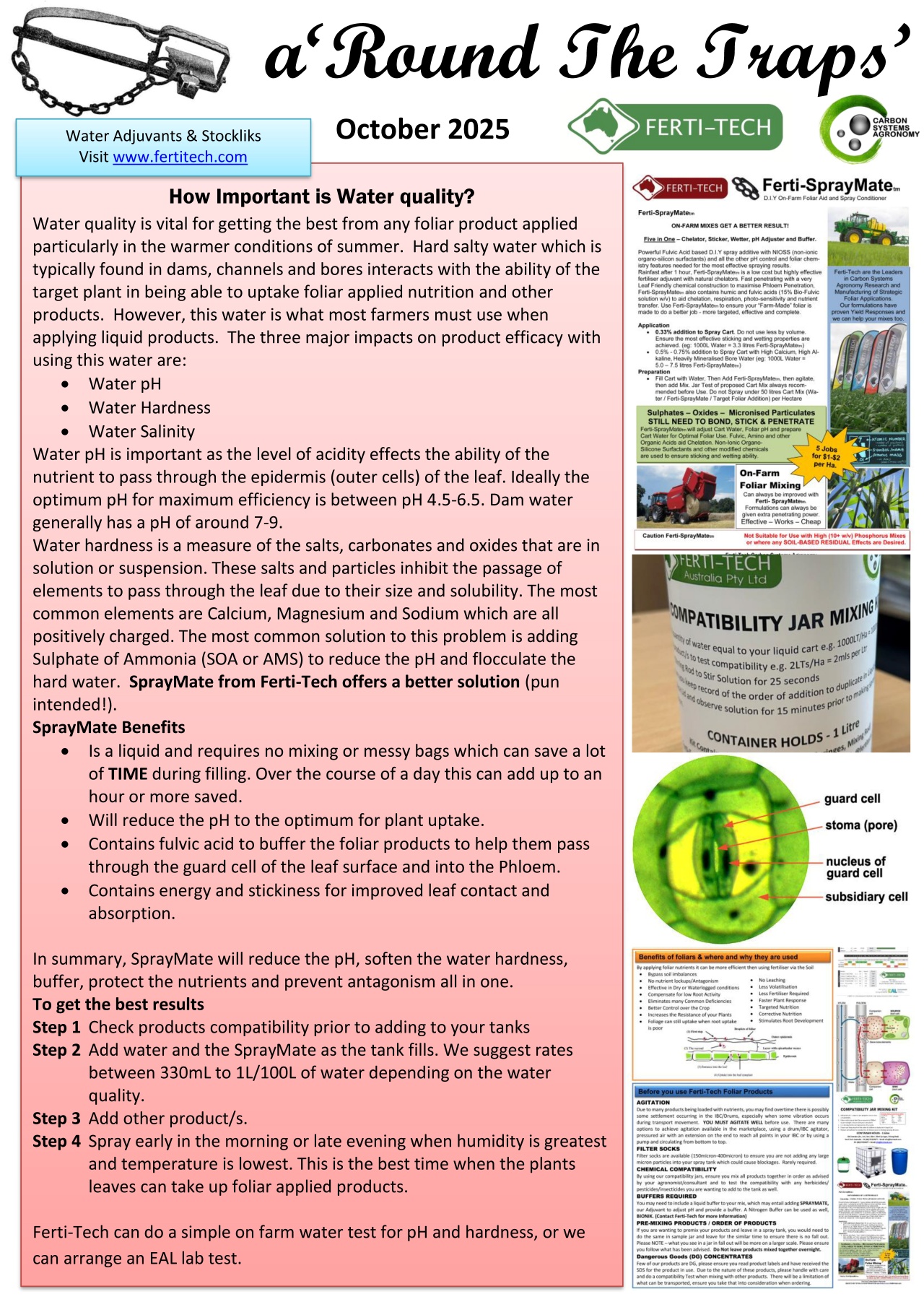 You are currently viewing RTT – October 2025