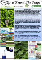 You are currently viewing RTT – February 2026