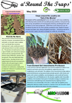 You are currently viewing RTT – May 2026